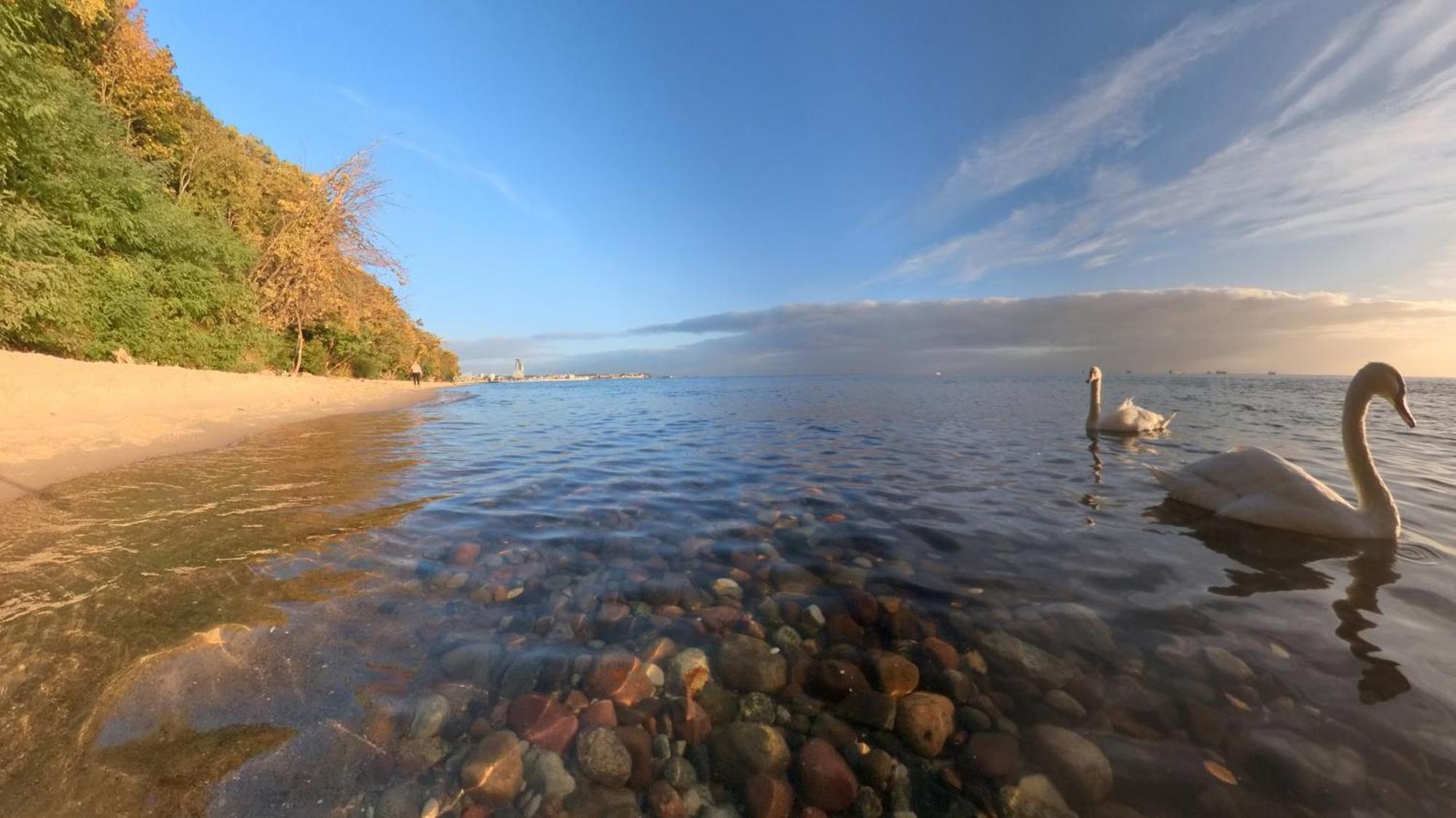 Blekitny Zagiel Apart otel Gdynia Dış mekan fotoğraf